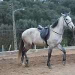 Quinta Ribeiro Tanquinhos Landhuis Tancos