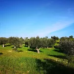 Quinta Ribeiro Tanquinhos Venkovský dům Tancos