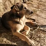 Venkovský dům Quinta Ribeiro Tanquinhos
