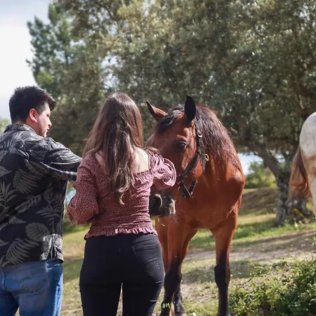 Quinta Ribeiro Tanquinhos * Tancos
