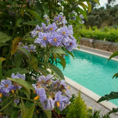 Quinta Ribeiro Tanquinhos Tancos