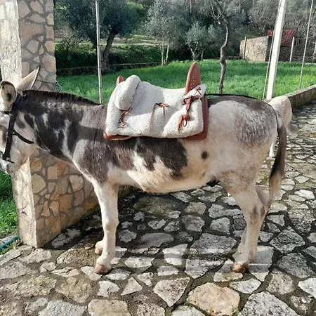 Quinta Ribeiro Tanquinhos Tancos