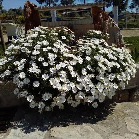 Country house Quinta Ribeiro Tanquinhos Tancos