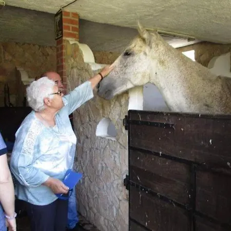 Quinta Ribeiro Tanquinhos *