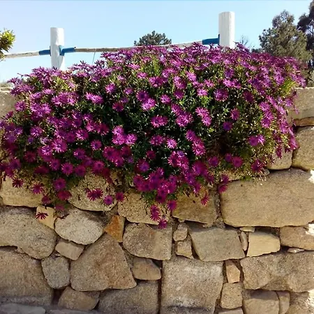 Landhuis Quinta Ribeiro Tanquinhos Tancos