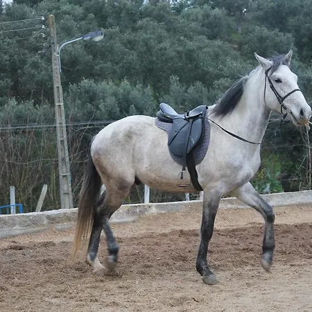 Quinta Ribeiro Tanquinhos Séjour à la campagne Tancos