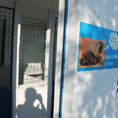 Séjour à la campagne Quinta Ribeiro Tanquinhos Tancos
