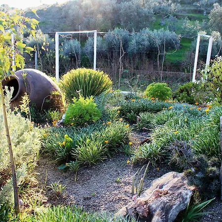Landhaus Quinta Ribeiro Tanquinhos *
