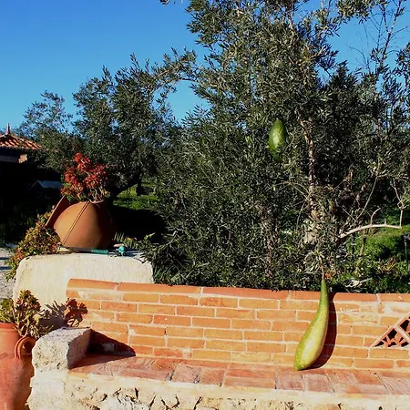 Quinta Ribeiro Tanquinhos * Tancos