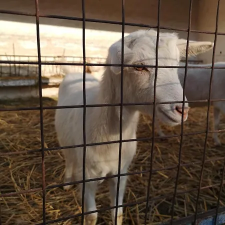 Quinta Ribeiro Tanquinhos Tancos