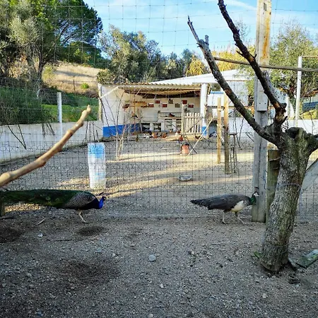 Hétvégi ház Quinta Ribeiro Tanquinhos *