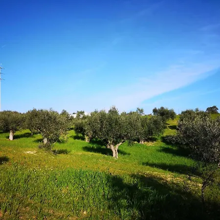 Quinta Ribeiro Tanquinhos Country house Tancos