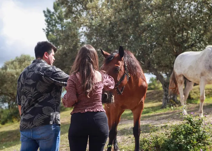 Quinta Ribeiro Tanquinhos * Tancos