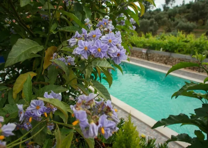 Quinta Ribeiro Tanquinhos Tancos