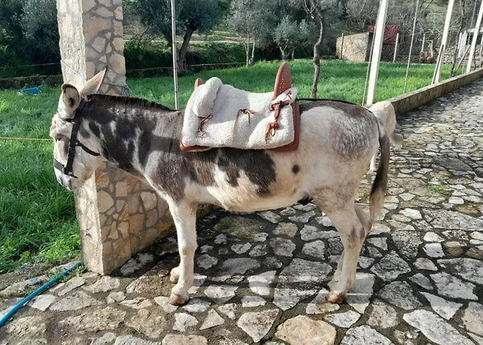 Quinta Ribeiro Tanquinhos Tancos