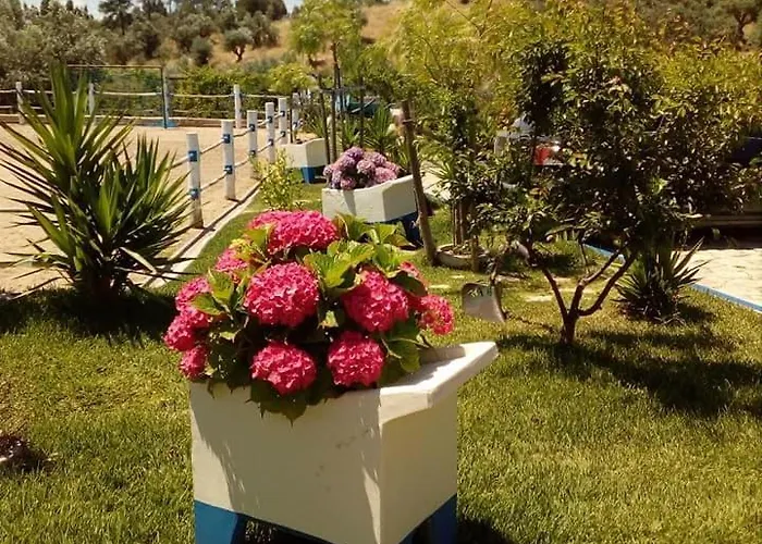 Casa de Campo Quinta Ribeiro Tanquinhos *