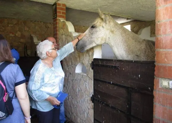 Quinta Ribeiro Tanquinhos *