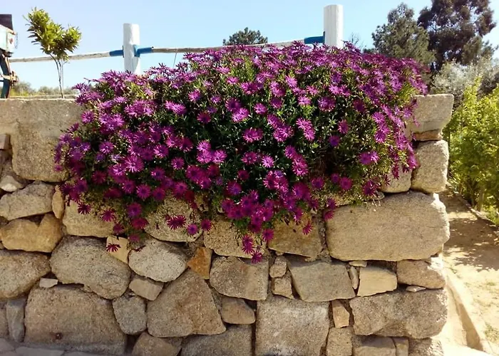 Casa de Campo Quinta Ribeiro Tanquinhos Tancos