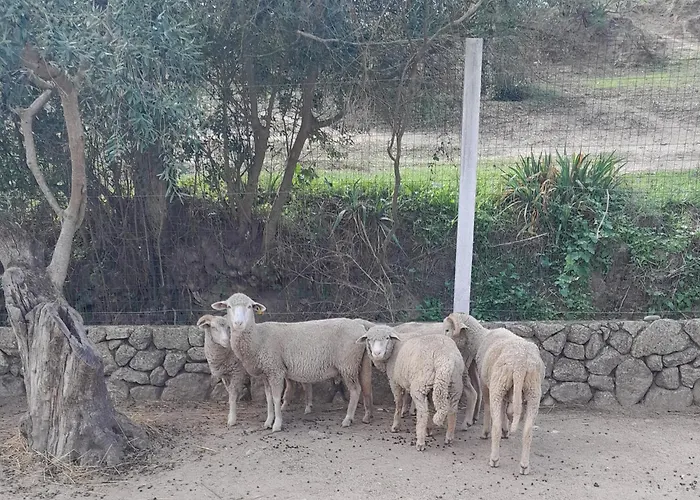 Quinta Ribeiro Tanquinhos *