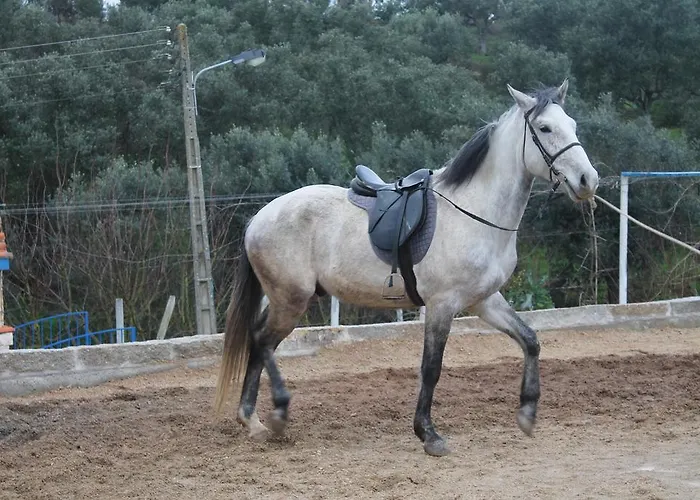 Quinta Ribeiro Tanquinhos Casa de Campo Tancos