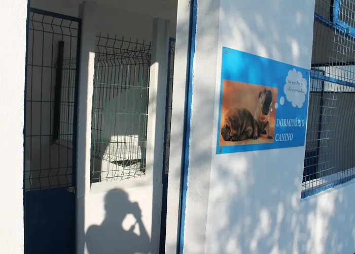 Casa de Campo Quinta Ribeiro Tanquinhos Tancos