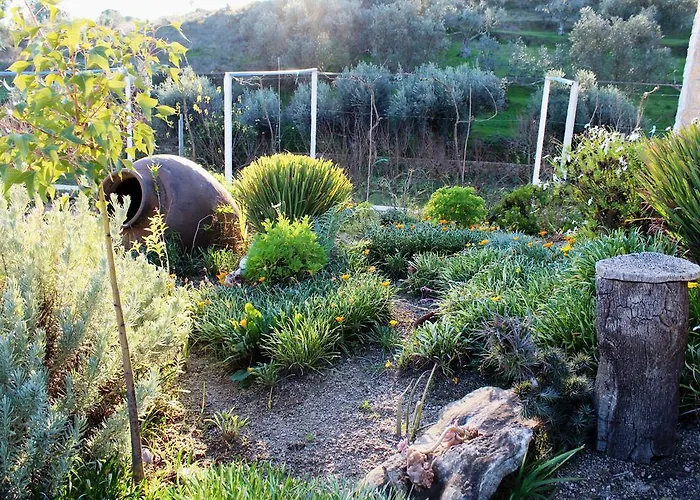 Casa de Campo Quinta Ribeiro Tanquinhos *