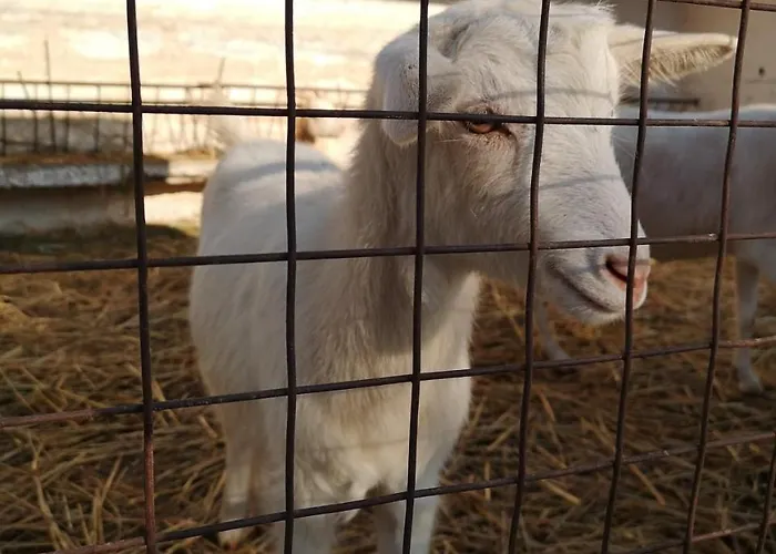 Quinta Ribeiro Tanquinhos Tancos