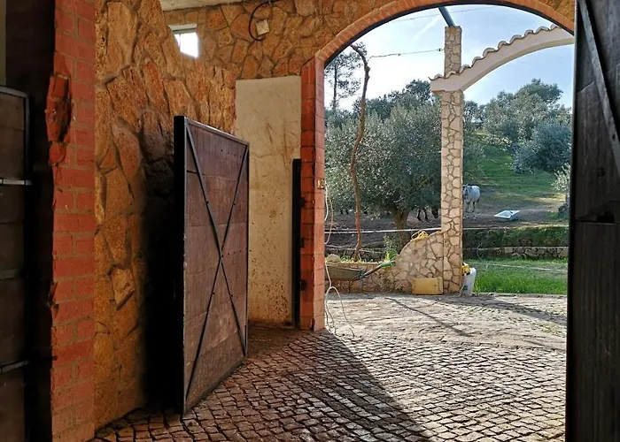 Casa de Campo Quinta Ribeiro Tanquinhos *