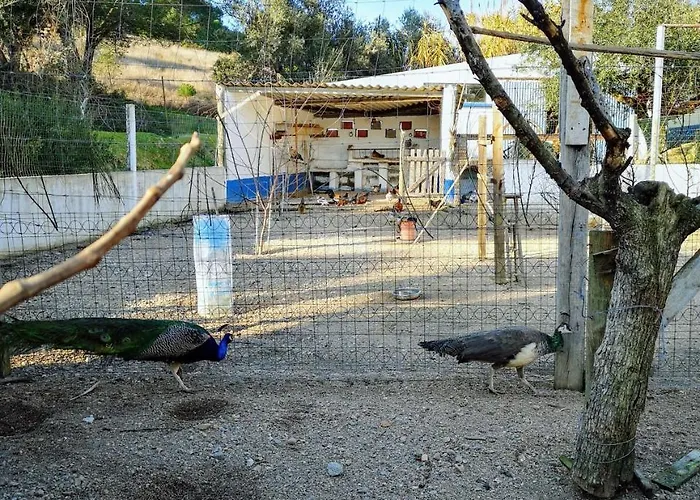 Casa de Campo Quinta Ribeiro Tanquinhos *