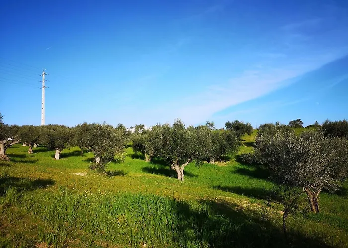 Quinta Ribeiro Tanquinhos Casa de Campo Tancos